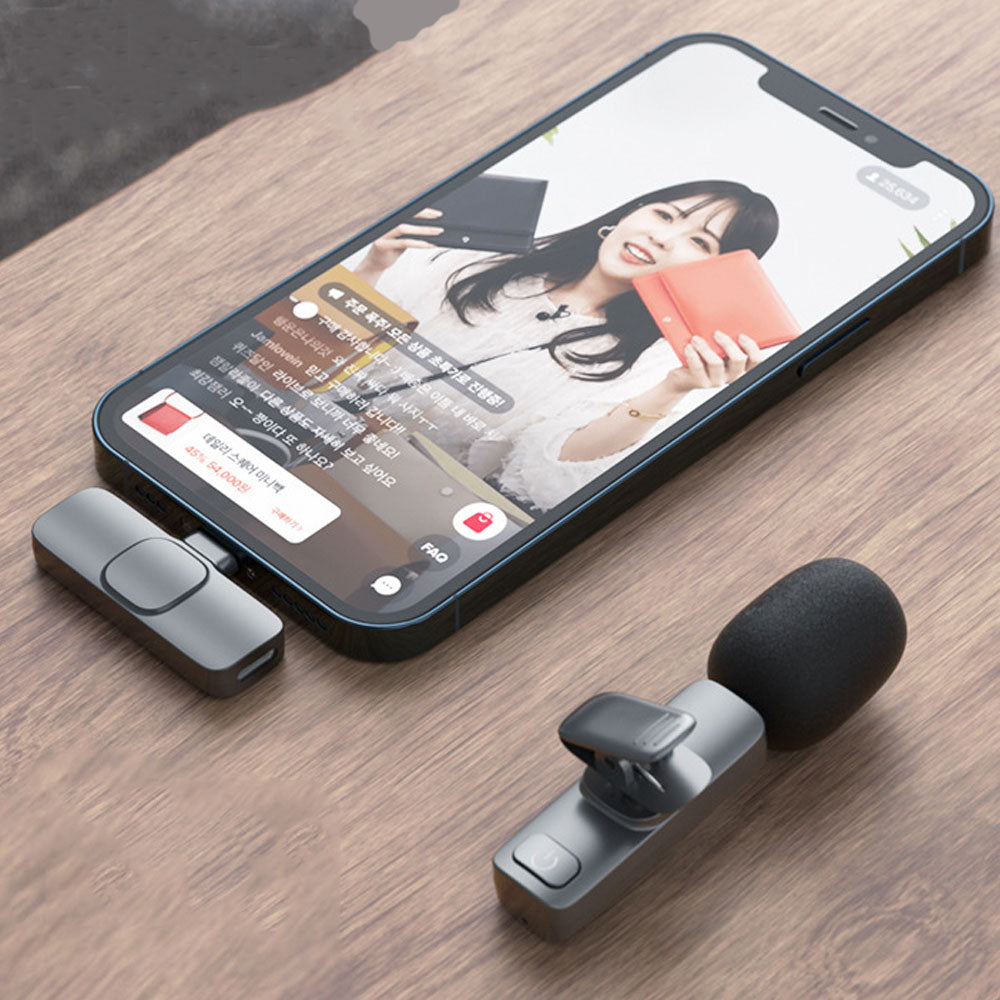Mini Wireless Microphone