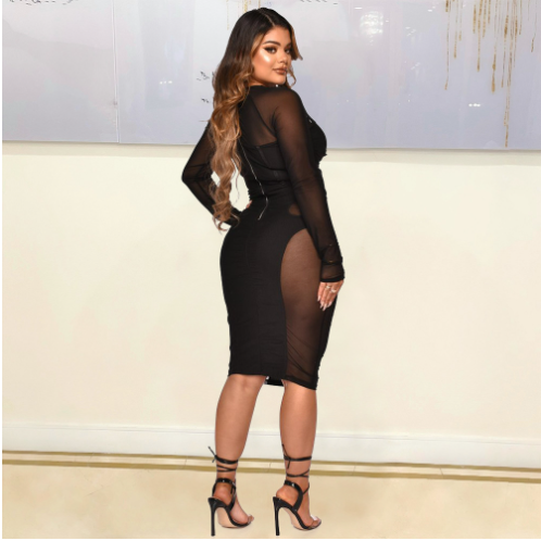 Transparent Tied Dress