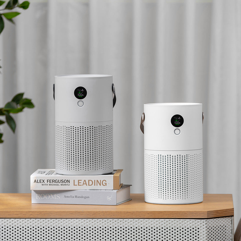 Ion Air Purifier