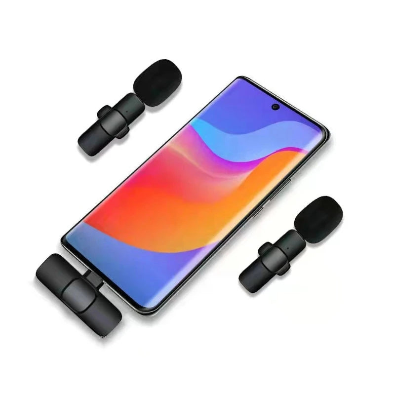 Mini Wireless Microphone