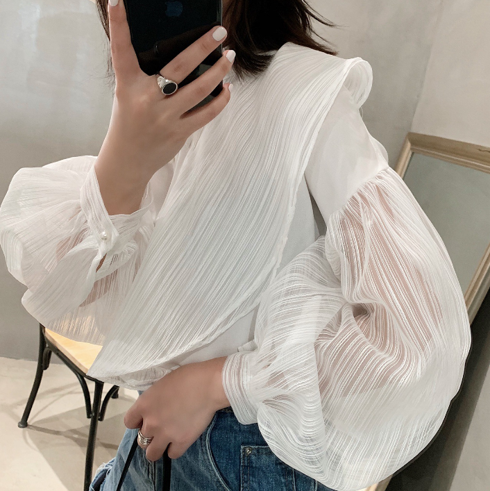 Lace Hollow Mesh Fairy Blouse