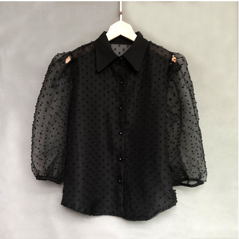 Sheer Mesh Embroidered Puff Sleeve Blouse