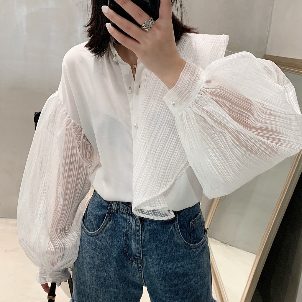 Lace Hollow Mesh Fairy Blouse