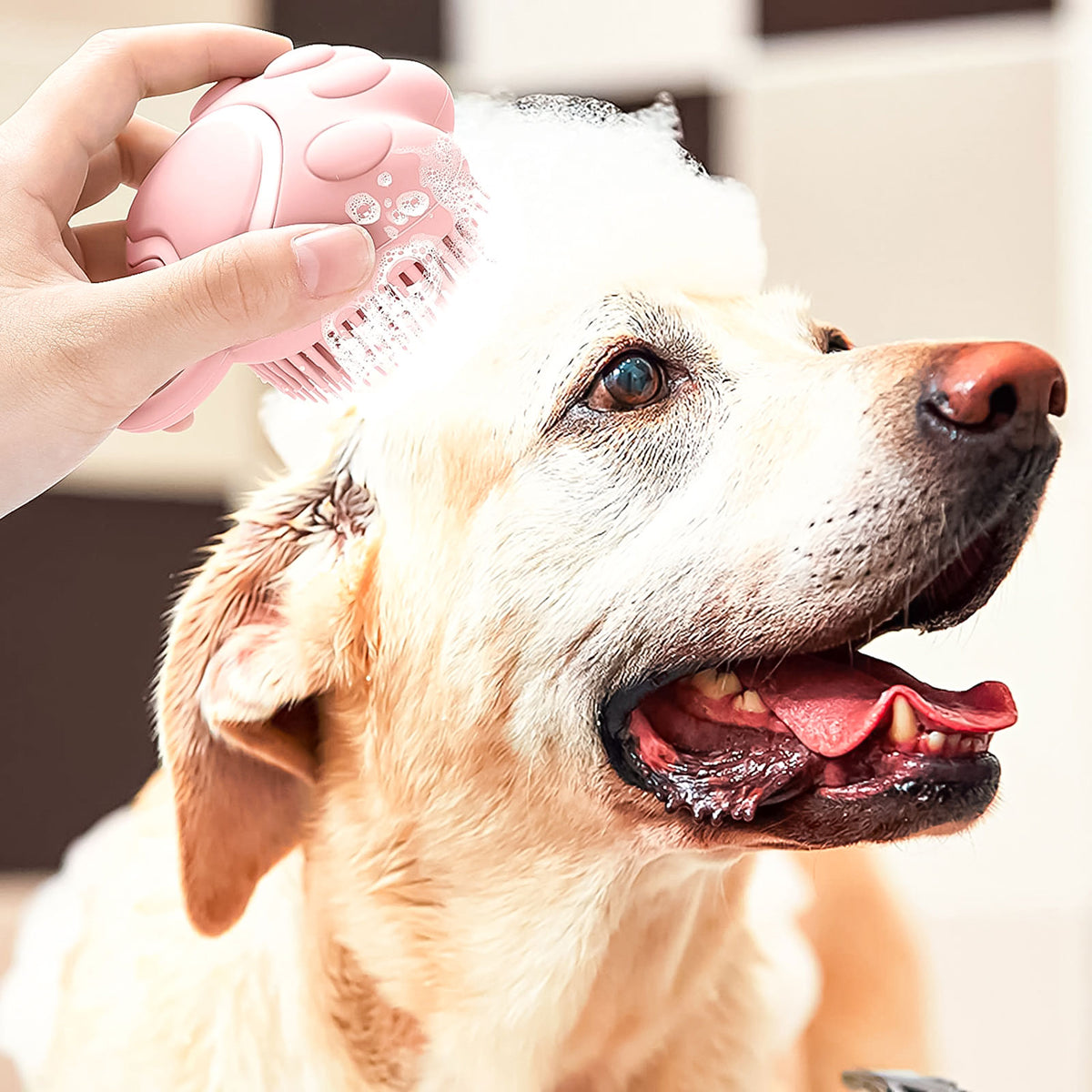 Silicone Dog Brush with Shampoo Dispenser for Bathing