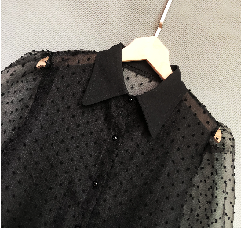 Sheer Mesh Embroidered Puff Sleeve Blouse