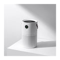 Ion Air Purifier