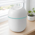 Mini Humidifier