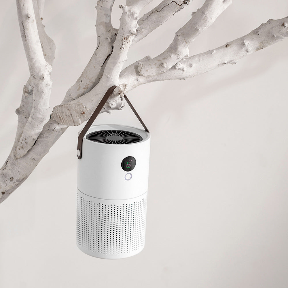 Ion Air Purifier